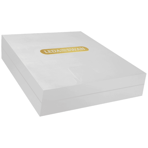 srebrna-moneta-niebianskie-piekno-leda-i-labedz-2024-1000-g-1-kg-opakowanie2