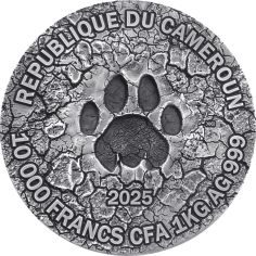 2025 Cameroon 1 kilo Silver Circle of Life: The Grand Hunting - 24h Shipping! 2