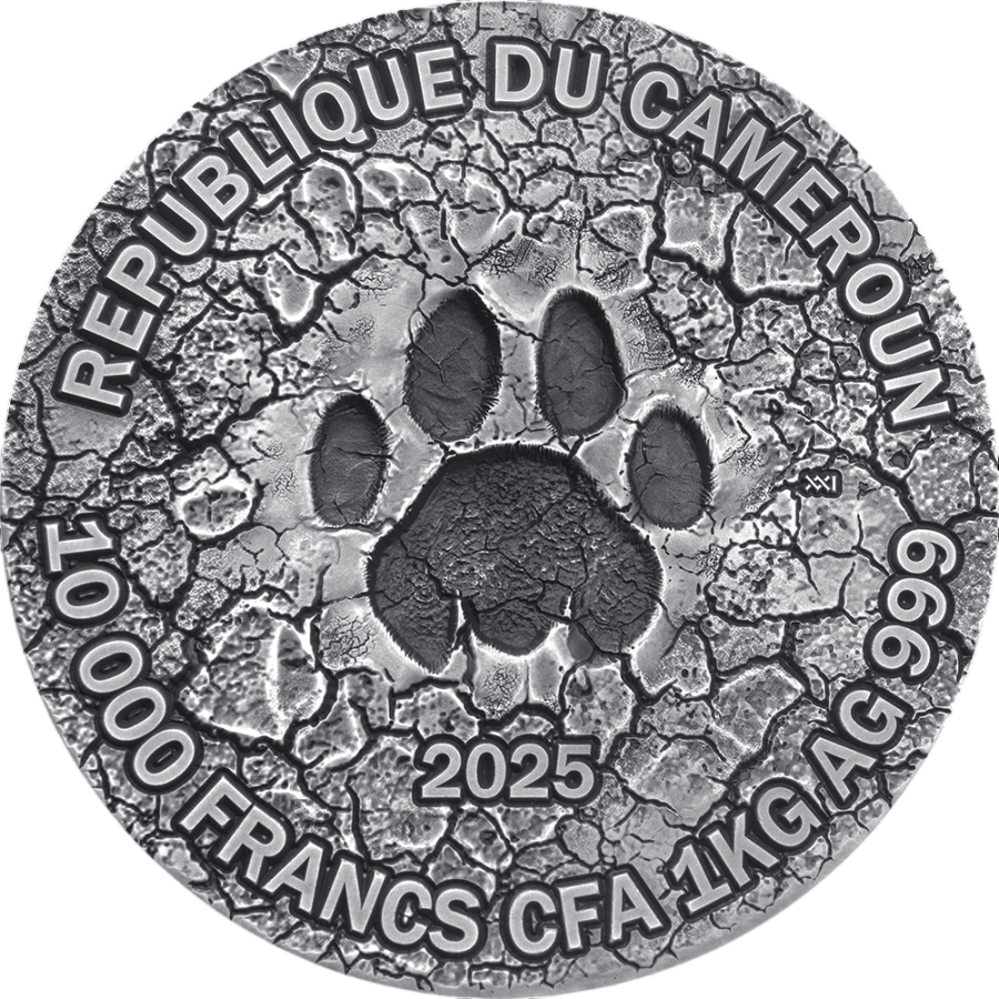 2025 Cameroon 1 kilo Silver Circle of Life: The Grand Hunting - 24h Shipping!