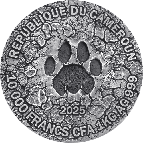 2025 Cameroon 1 kilo Silver Circle of Life: The Grand Hunting - 24h Shipping!