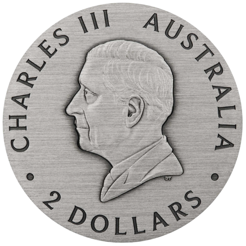 srebrna-moneta-pszczola-miodna-2025-2-uncje-awers