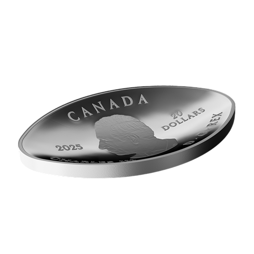 copy of Silver Canadian Coin 2015 Flag - SHIPPING 24 H!