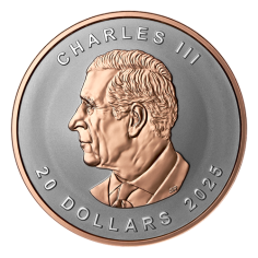 copy of Silver Coin Canadian maple leaf 1 ounce 2024 Ultra High Relief - SHIPPING 24 H! 2