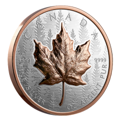 copy of Silver Coin Canadian maple leaf 1 ounce 2024 Ultra High Relief - SHIPPING 24 H!