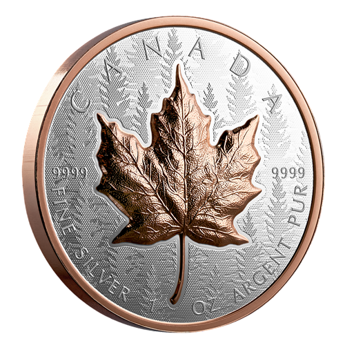 copy of Silver Coin Canadian maple leaf 1 ounce 2024 Ultra High Relief - SHIPPING 24 H!