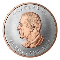 copy of Silver Coin Canadian maple leaf 1 ounce 2024 Ultra High Relief - SHIPPING 24 H! 2