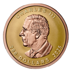 copy of To check - Gold Coin Canadian Maple Leaf 1UNCY 2024 Ultra High Relief - Shipping 24 hours! 2