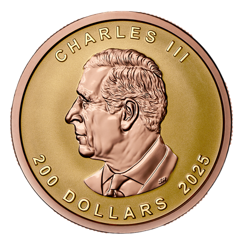 copy of To check - Gold Coin Canadian Maple Leaf 1UNCY 2024 Ultra High Relief - Shipping 24 hours!