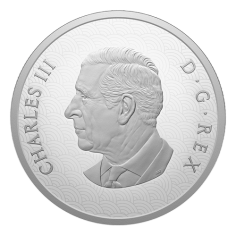 srebrna-moneta-kanadyjski-rok-konia-2026-1-uncja-proof-rewers 2