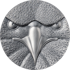 srebrny-numizmat-binary-world-binary-eagle-2-uncje-2023-rewers