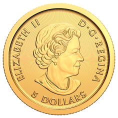 copy of Gold Coin Canadian maple leaf 1/10 ounce - shipping 24 hours! 2