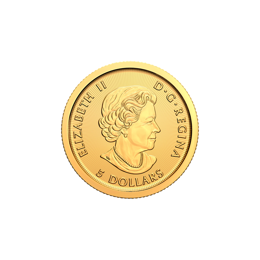 copy of Gold Coin Canadian maple leaf 1/10 ounce - shipping 24 hours!