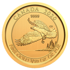 copy of Gold Coin Canadian maple leaf 1/10 ounce - shipping 24 hours!