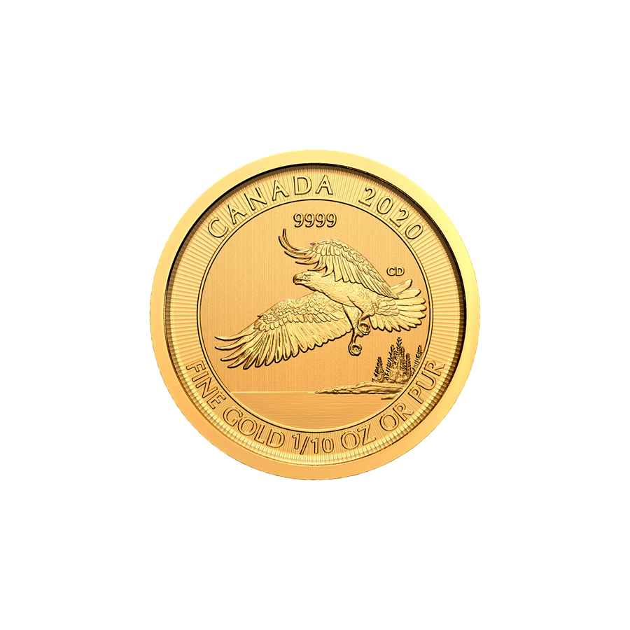 copy of Gold Coin Canadian maple leaf 1/10 ounce - shipping 24 hours!