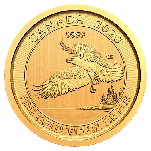 copy of Gold Coin Canadian maple leaf 1/10 ounce - shipping 24 hours!