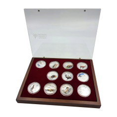 copy of Set of 4 x 1 oz 2025 Lunar Year of the Snake Quadrant Colourized Proof Silver Coins  - 24h Shipping!