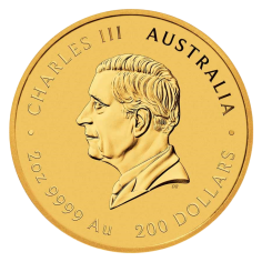 copy of 2 oz Australian Lunar Year of the Snake 2025 Gold Coin 2