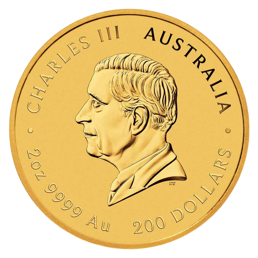 copy of 2 oz Australian Lunar Year of the Snake 2025 Gold Coin