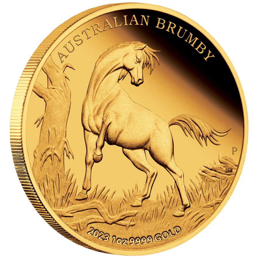 copy of 1 oz Australian Lunar Year of the Snake 2025 Gold Coin