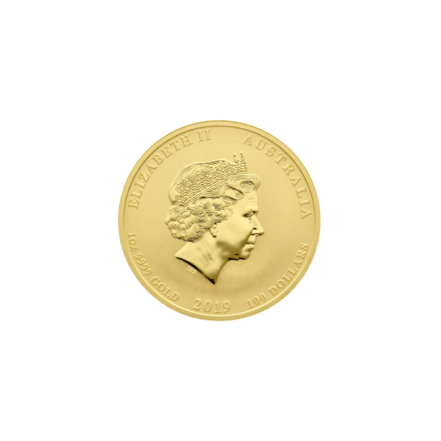 copy of 2025 1/2 oz Australian Gold Lunar Snake Coin - 24h Shipping!