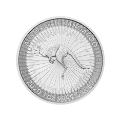 copy of 1 oz Silver Bar / Unsorted Coin - 24h Shipping! 2