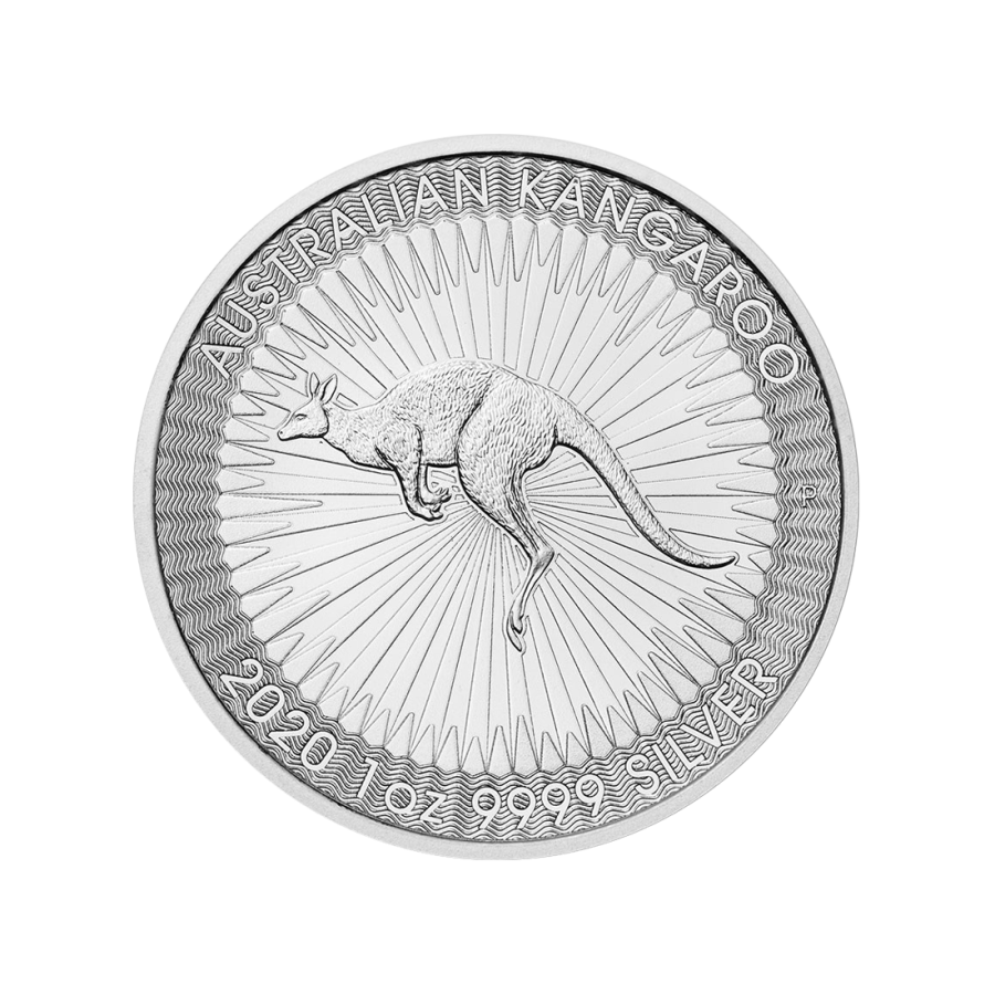 copy of 1 oz Silver Bar / Unsorted Coin - 24h Shipping!