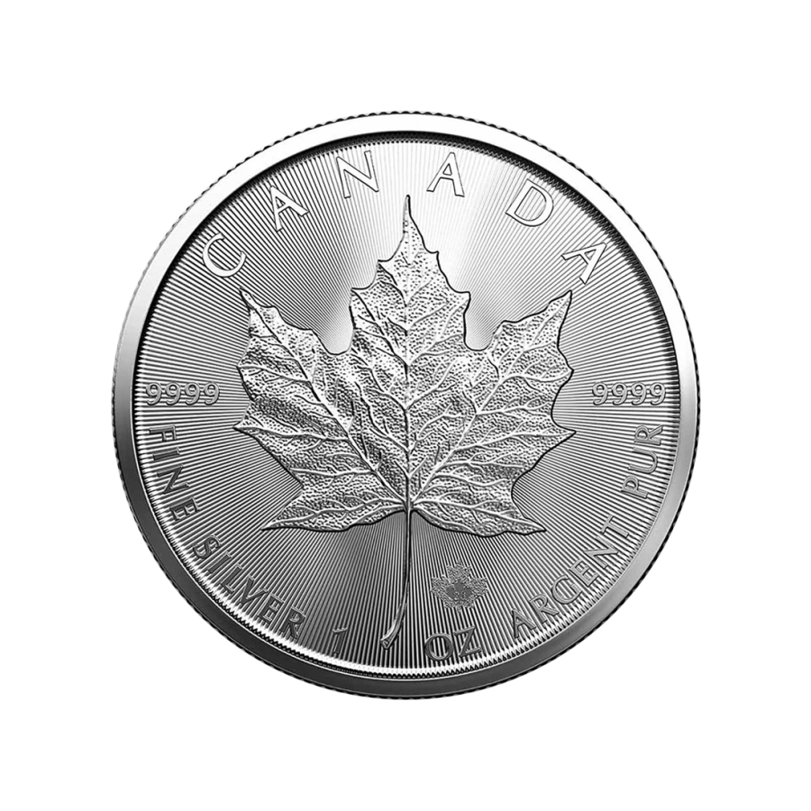 copy of 1 oz Silver Bar / Unsorted Coin - 24h Shipping!