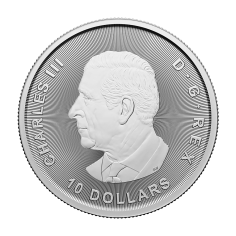 copy of 2025 2 oz Canadian Goose Silver Coin - 24h Shipping! 2