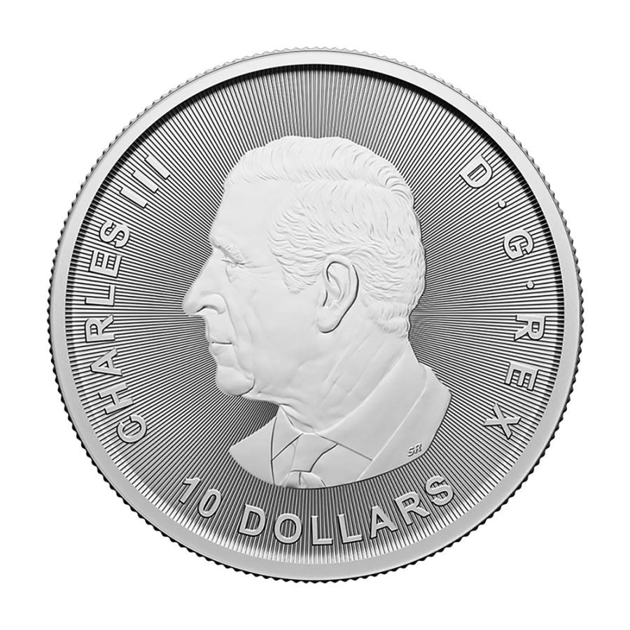 copy of 2025 2 oz Canadian Goose Silver Coin - 24h Shipping!