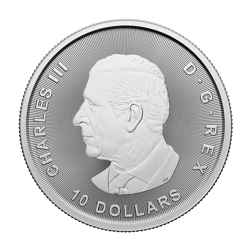 copy of 2025 2 oz Canadian Goose Silver Coin - 24h Shipping!