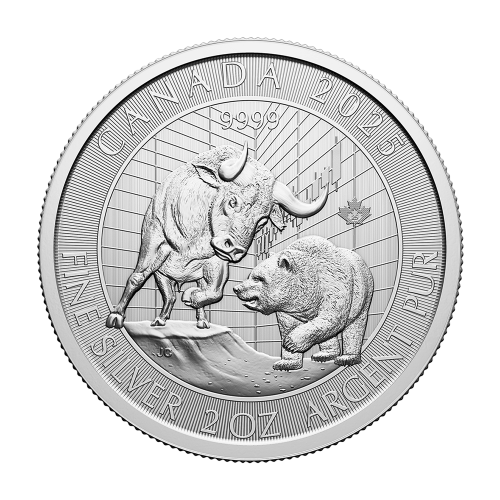 copy of 2025 2 oz Canadian Goose Silver Coin - 24h Shipping!