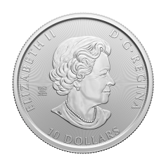 srebrna-moneta-epoka-lodowcowa-tygrys-szablozebny-2-uncje-rewers 2