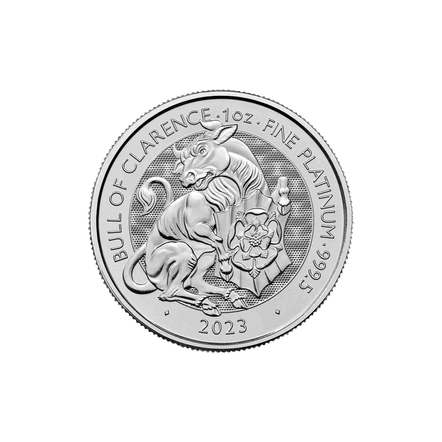 copy of 1 oz Platinium Britannias Coin - 24h Shipping!