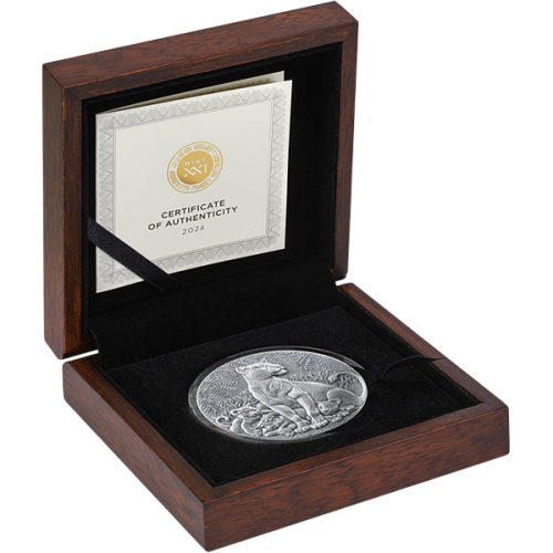 copy of 2025 Cameroon 1 kilo Silver Circle of Life: The Grand Hunting - 24h Shipping!