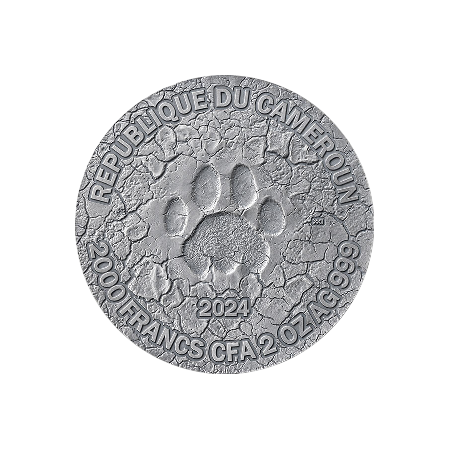 copy of 2025 Cameroon 1 kilo Silver Circle of Life: The Grand Hunting - 24h Shipping!