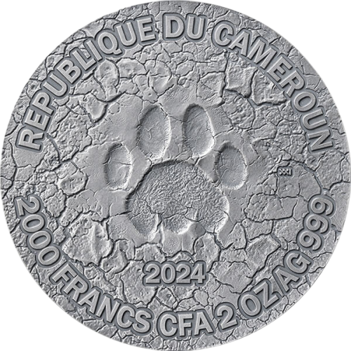 copy of 2025 Cameroon 1 kilo Silver Circle of Life: The Grand Hunting - 24h Shipping!