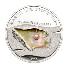 copy of 2025 Cameroon 1 kilo Silver Circle of Life: The Grand Hunting - 24h Shipping!