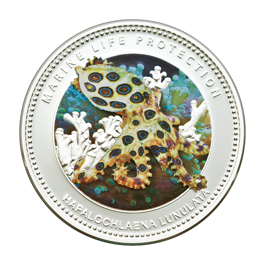 copy of 2025 Cameroon 1 kilo Silver Circle of Life: The Grand Hunting - 24h Shipping!