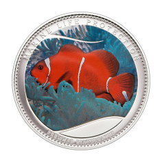 copy of 2025 Cameroon 1 kilo Silver Circle of Life: The Grand Hunting - 24h Shipping!