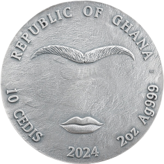 copy of BATTLE OF KYIV 2 Oz Silver Coin 2024 - 24h Shipping! 2