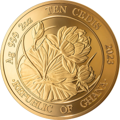 copy of BATTLE OF KYIV 2 Oz Silver Coin 2024 - 24h Shipping! 2