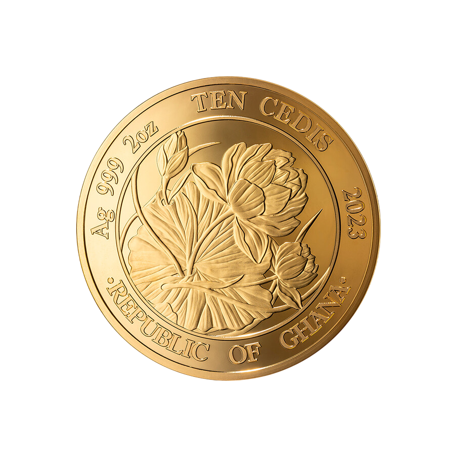 copy of BATTLE OF KYIV 2 Oz Silver Coin 2024 - 24h Shipping!