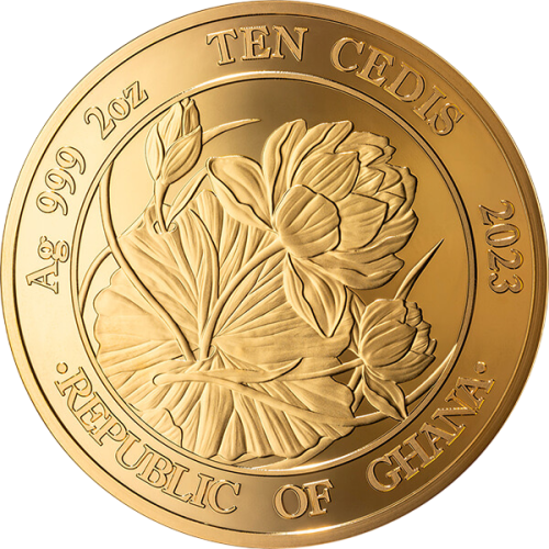 copy of BATTLE OF KYIV 2 Oz Silver Coin 2024 - 24h Shipping!