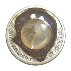 copy of 2025 1 oz Proof Colorized Australian Silver Kangaroo Coin (High Relief) - 24h Shipping!