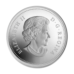 srebrna-moneta-water-lily-2010-2 2