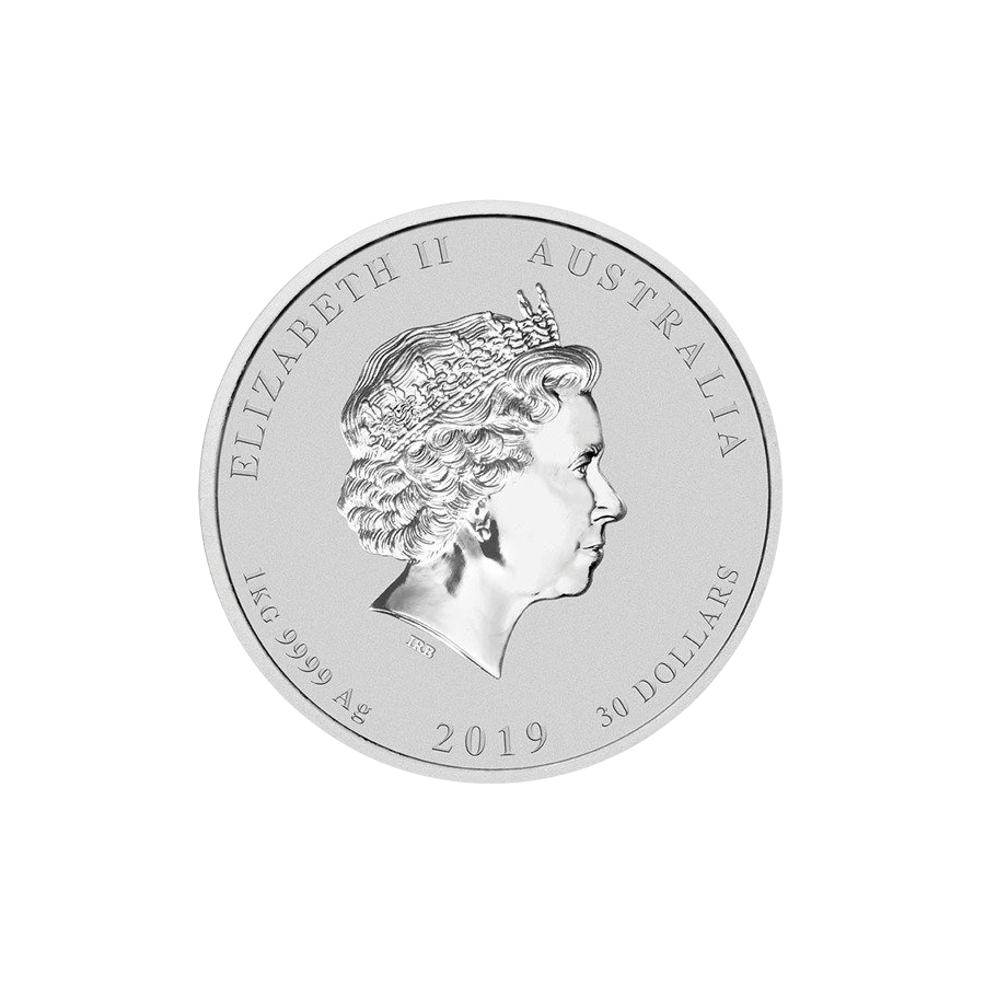 copy of Australian 1000g (1 kg)  Lunar Year of the Ox 2021 Silver Coins - 24h Shipping!