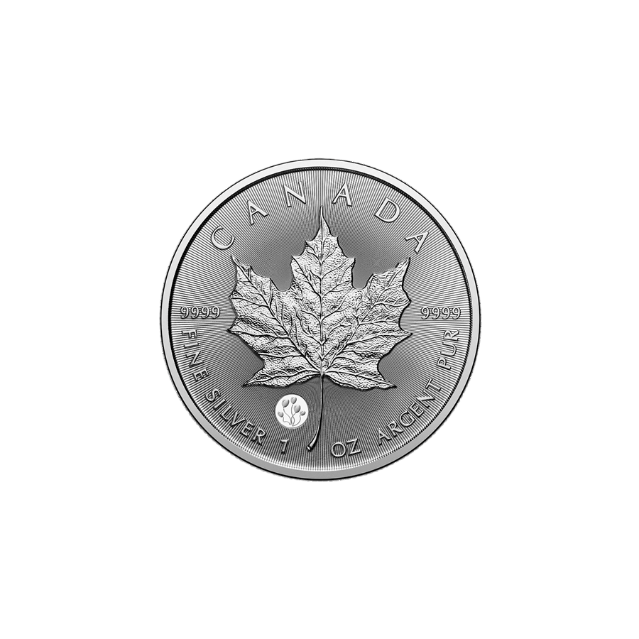 copy of 1 oz Canadian Treasured Silver Maple Leaf Coin BU - Congratulations - 24h Shipping!