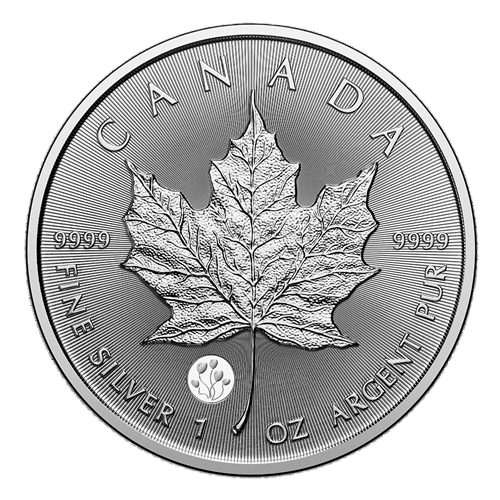 copy of 1 oz Canadian Treasured Silver Maple Leaf Coin BU - Congratulations - 24h Shipping!