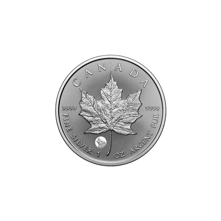 copy of 1 oz Canadian Treasured Silver Maple Leaf Coin BU - Congratulations - 24h Shipping!