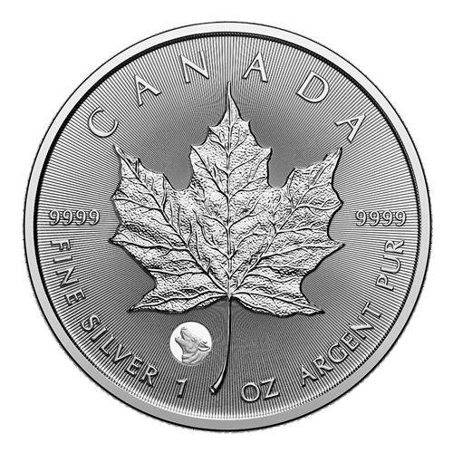 copy of 1 oz Canadian Treasured Silver Maple Leaf Coin BU - Congratulations - 24h Shipping!